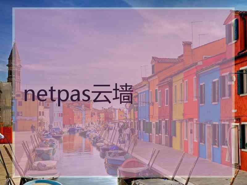 netpas云墙