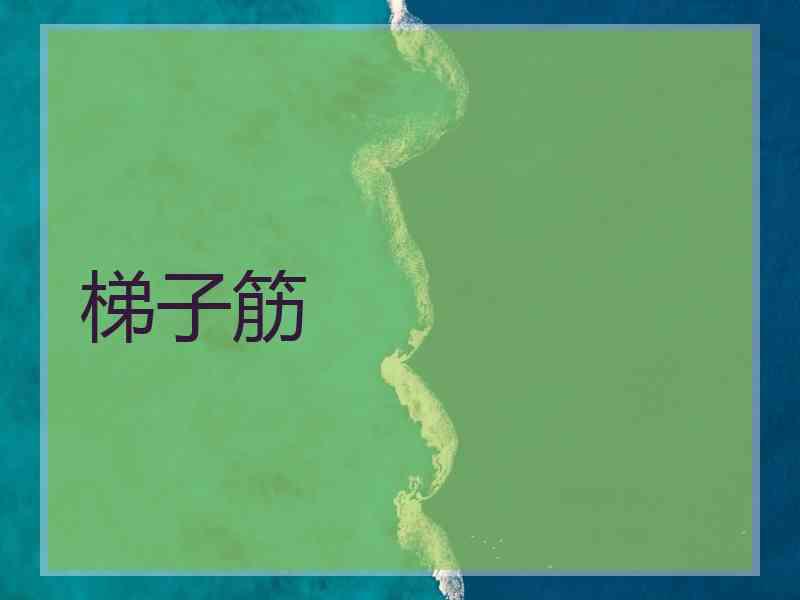梯子筋