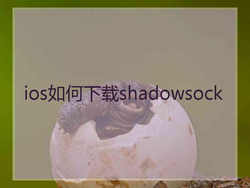 ios如何下载shadowsock