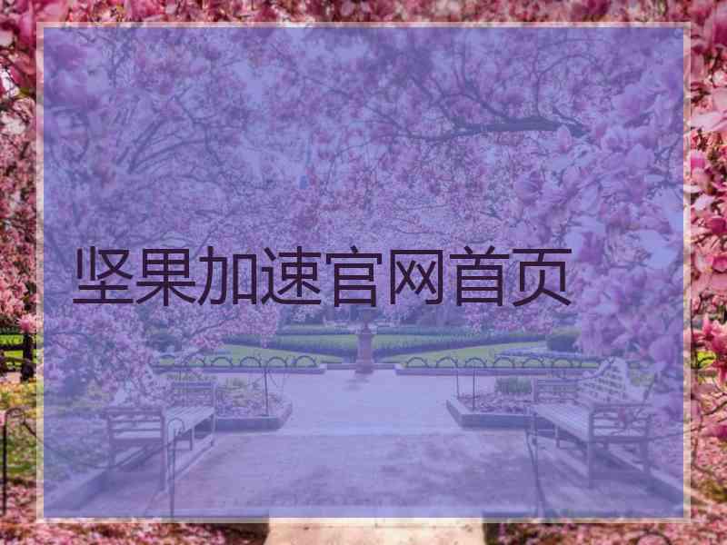 坚果加速官网首页