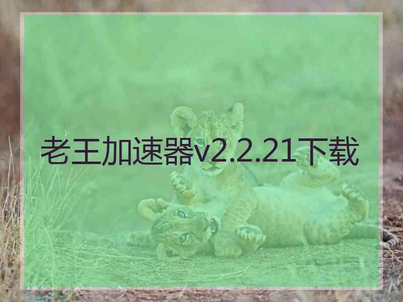 老王加速器v2.2.21下载