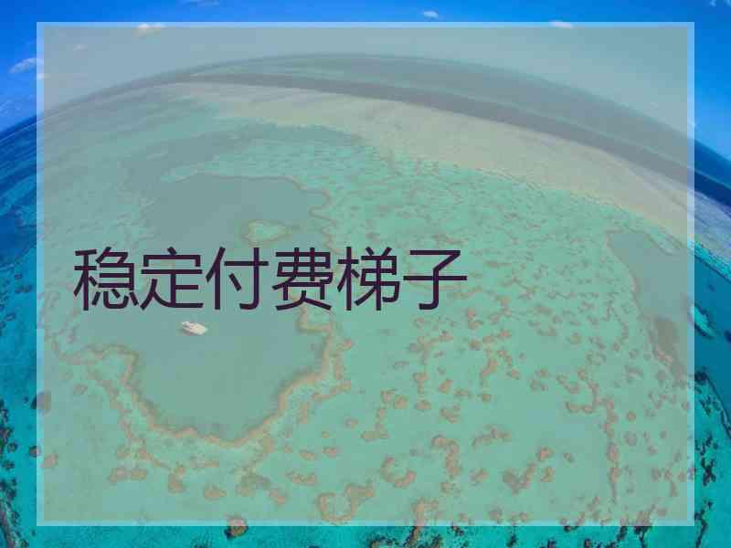 稳定付费梯子