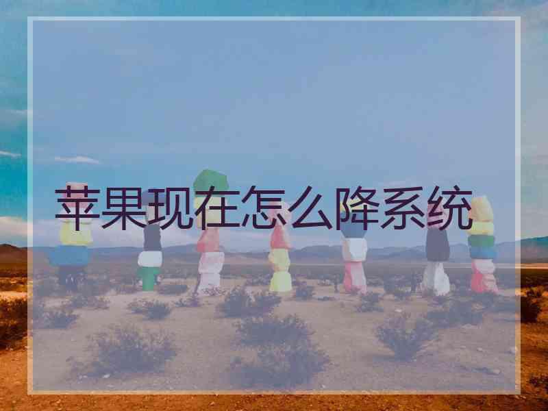 苹果现在怎么降系统