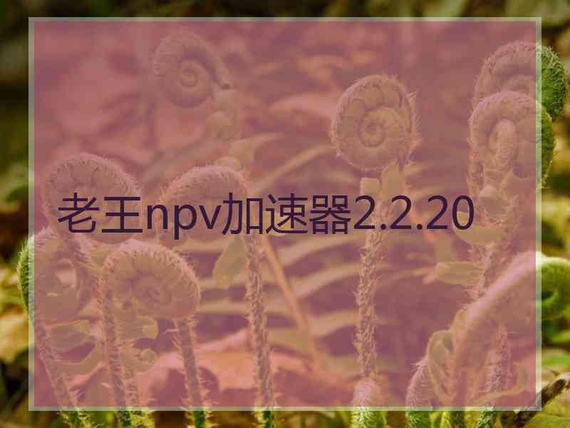 老王npv加速器2.2.20