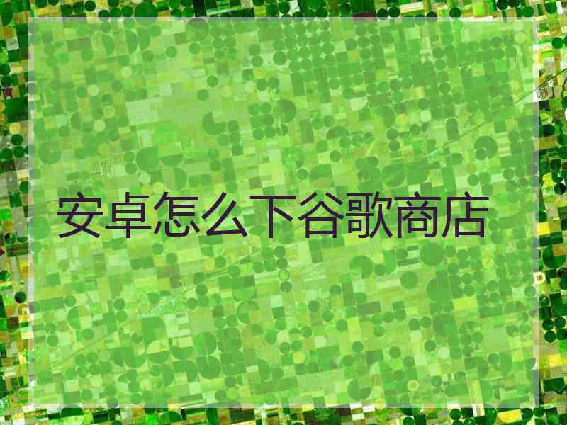 安卓怎么下谷歌商店