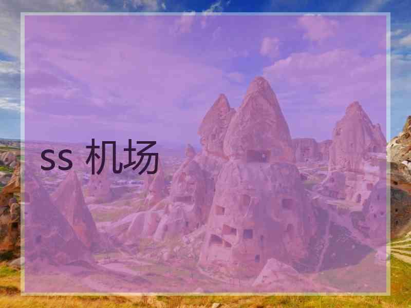 ss 机场