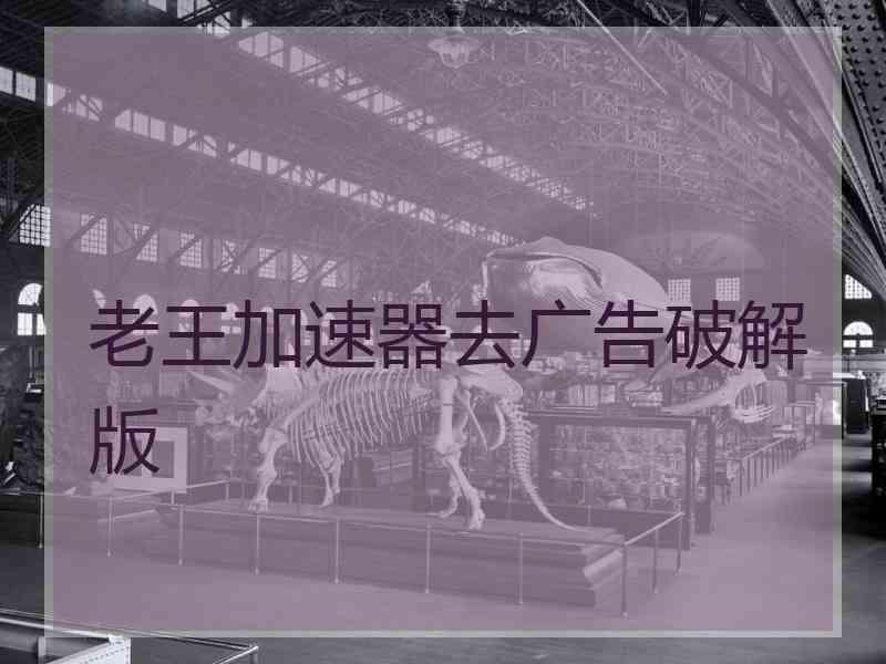 老王加速器去广告破解版