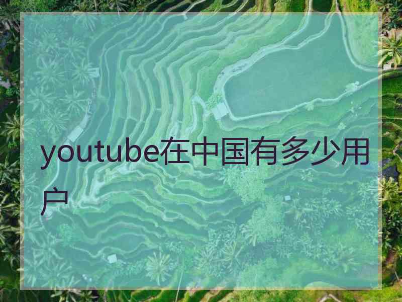 youtube在中国有多少用户