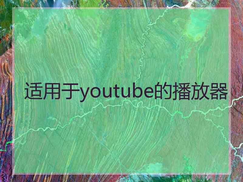 适用于youtube的播放器