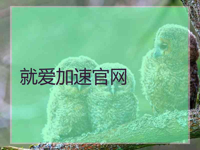 就爱加速官网
