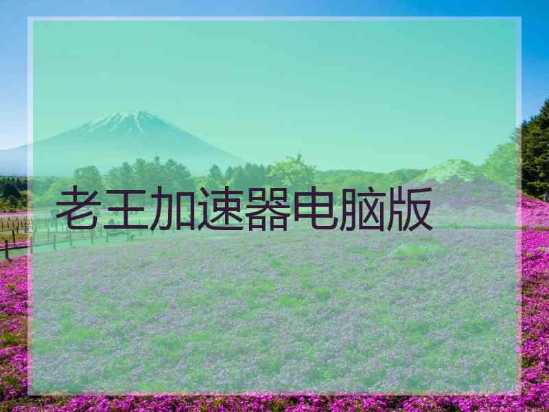 老王加速器电脑版