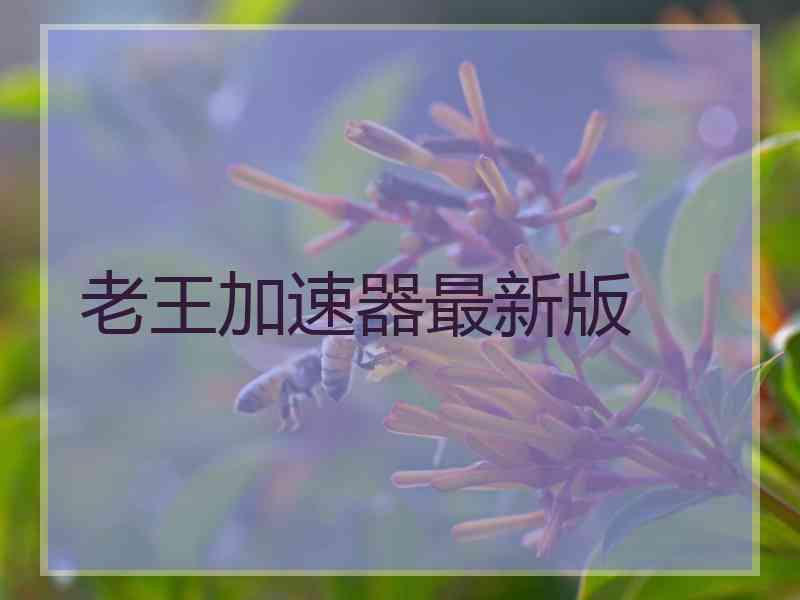 老王加速器最新版