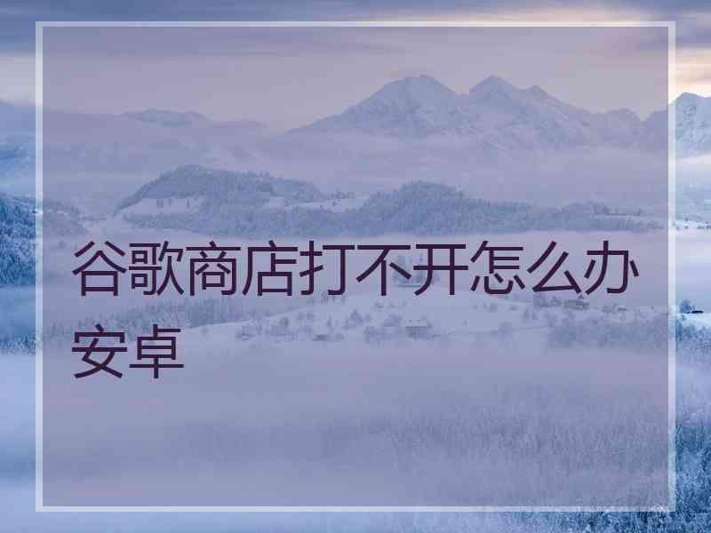 谷歌商店打不开怎么办安卓