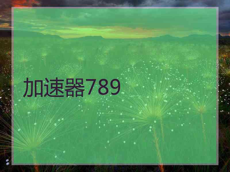加速器789