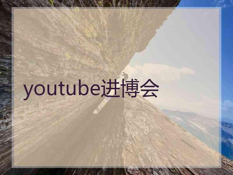 youtube进博会