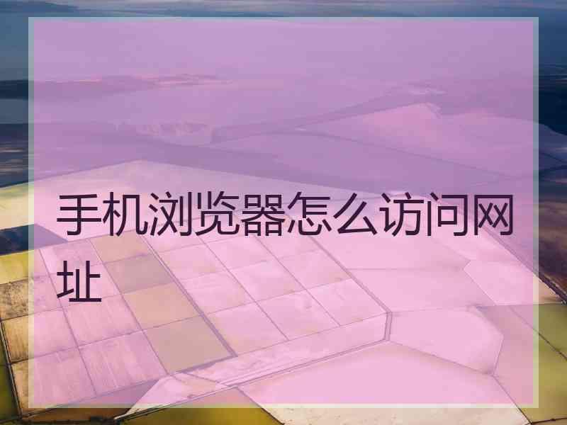 手机浏览器怎么访问网址