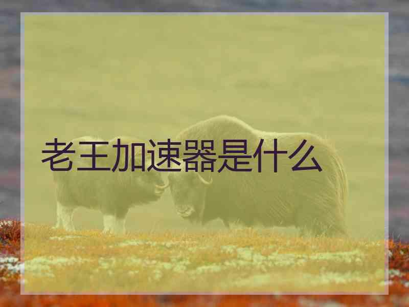 老王加速器是什么