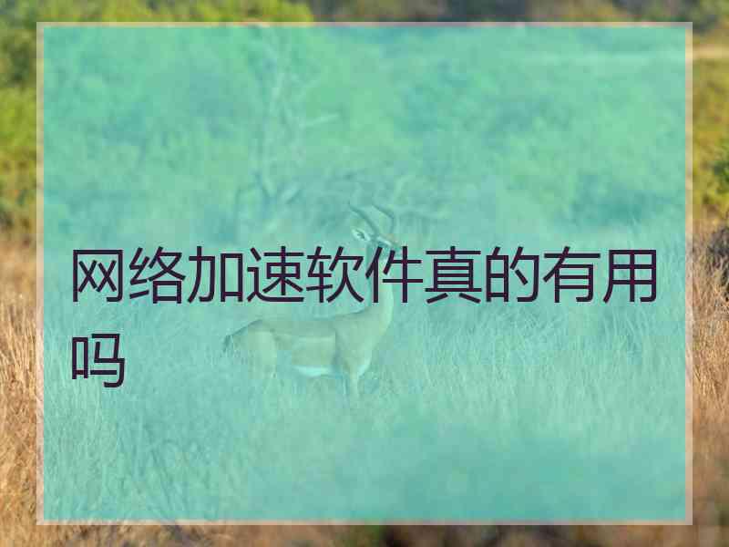 网络加速软件真的有用吗