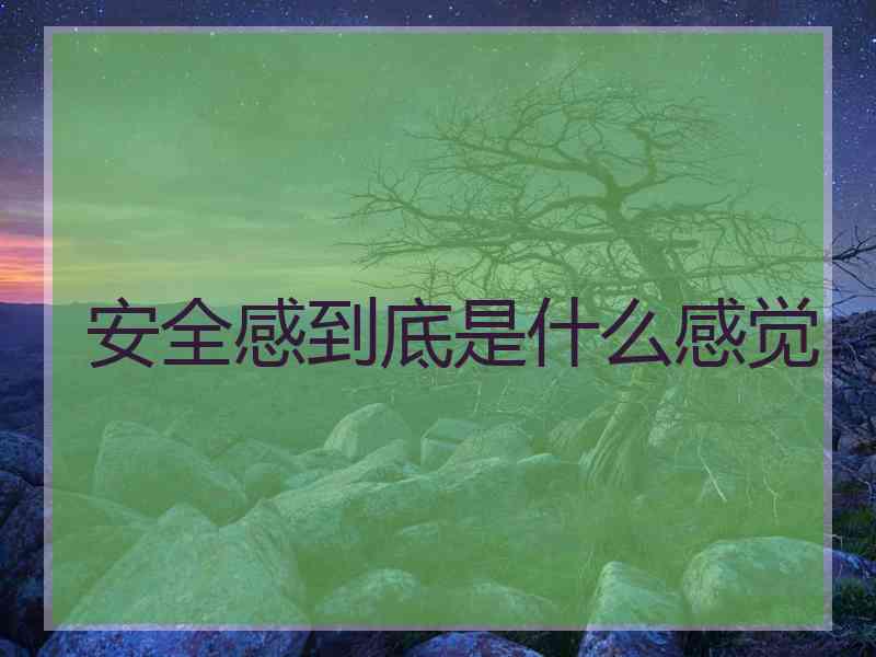 安全感到底是什么感觉