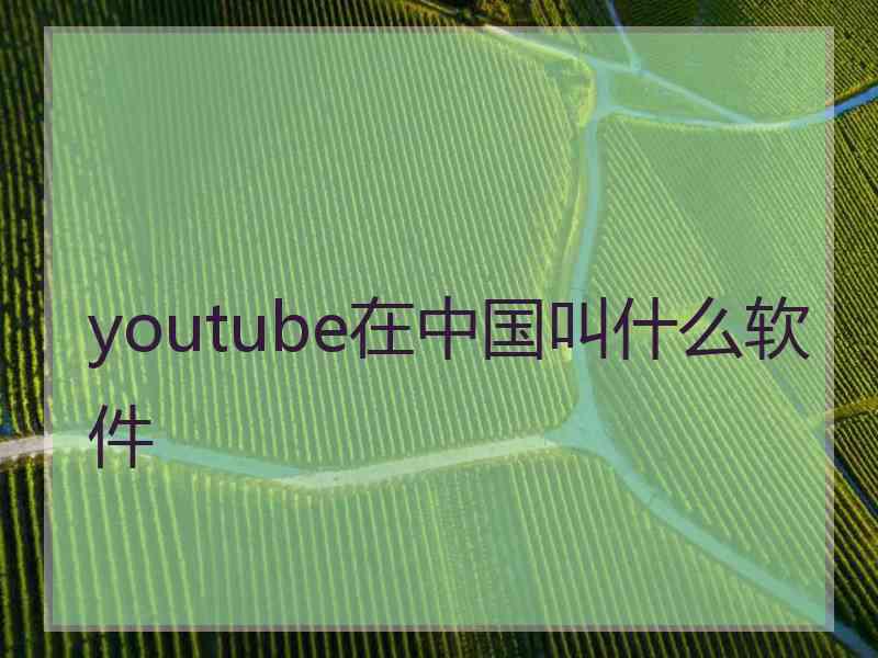 youtube在中国叫什么软件