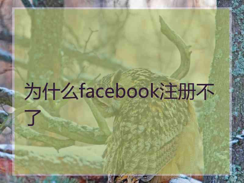 为什么facebook注册不了