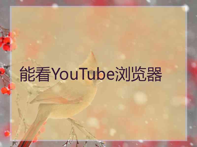能看YouTube浏览器