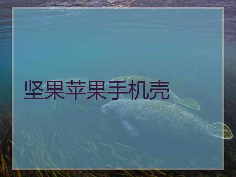 坚果苹果手机壳