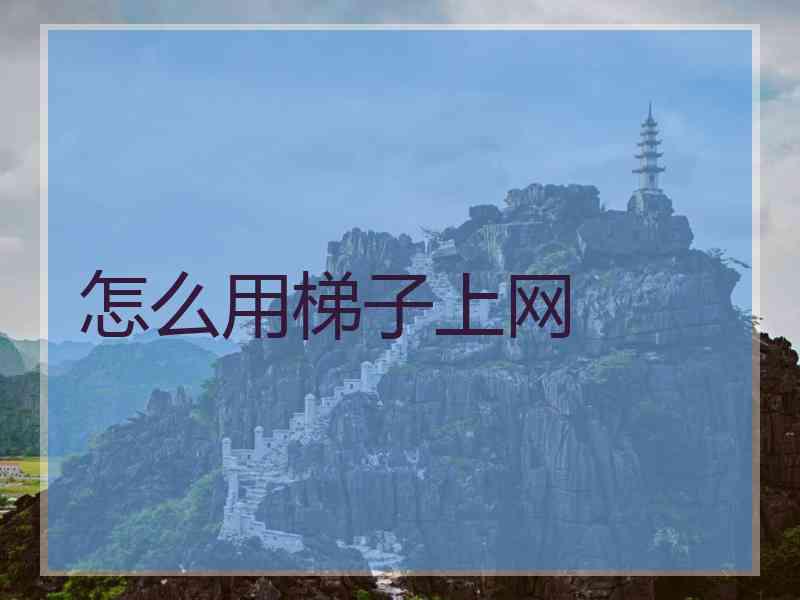 怎么用梯子上网