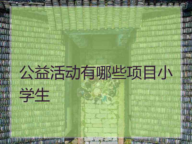 公益活动有哪些项目小学生