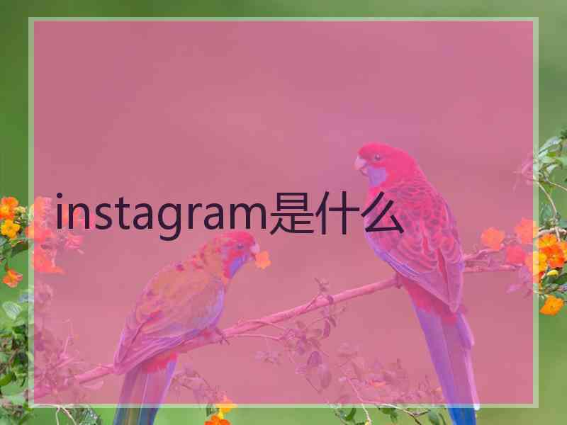 instagram是什么