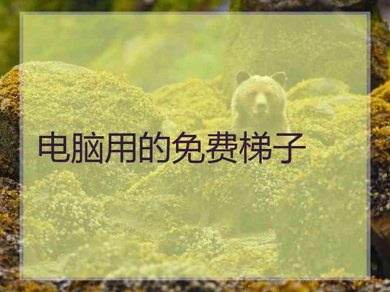 电脑用的免费梯子