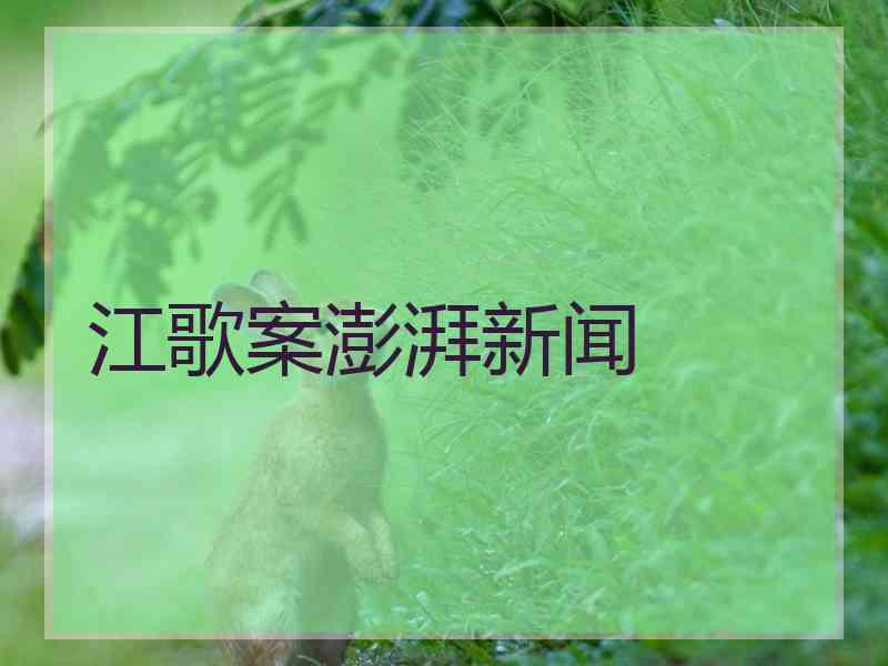 江歌案澎湃新闻